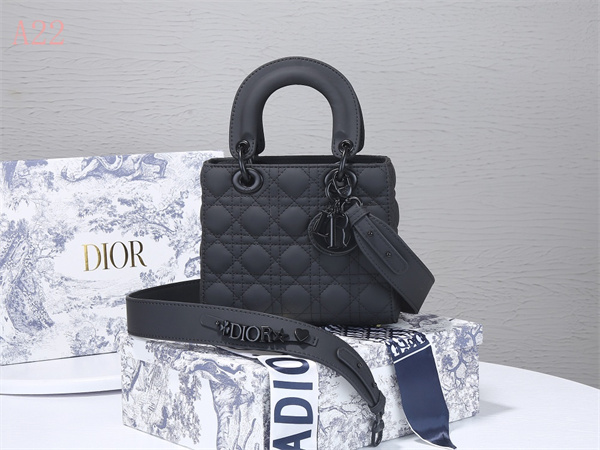 Dior Bags AAA 023